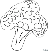 broccoli Coloring Pages To Print